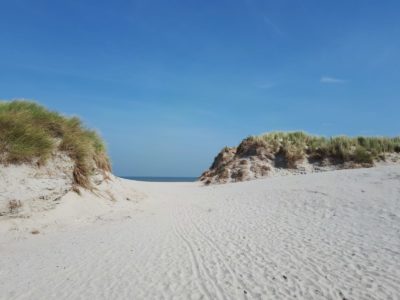 Poppelier schilders - zomervakantie voorbij